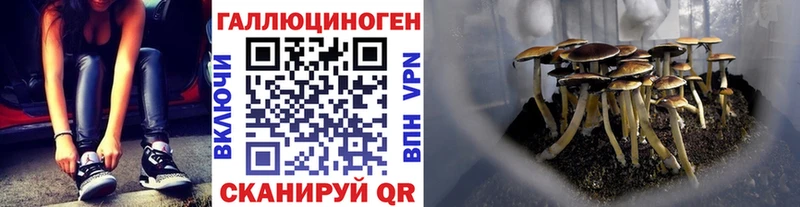 где найти   Фролово  Псилоцибиновые грибы ЛСД 
