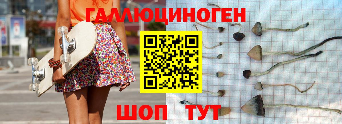 Псилоцибиновые грибы GOLDEN TEACHER Фролово
